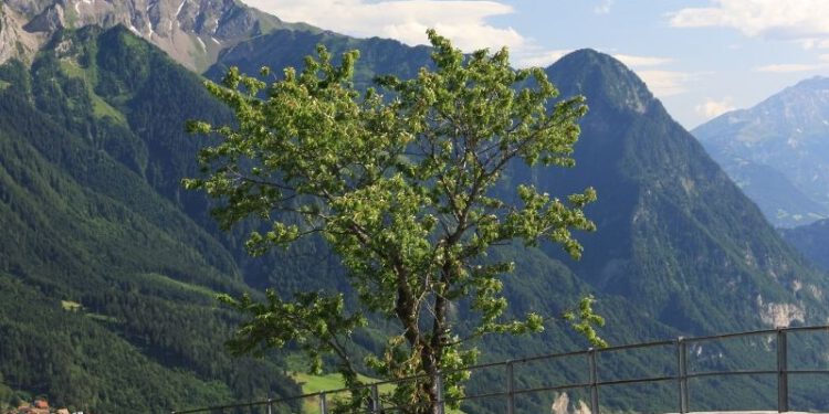 Camping & Zelten in Liechtenstein