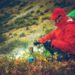 15 praktische Tipps für Camping bei kaltem Wetter