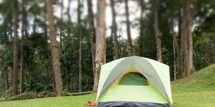 Pop Up Zelt: Ratgeber für Wurfzelte