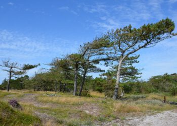 Genießen Sie die Idylle Dänemarks