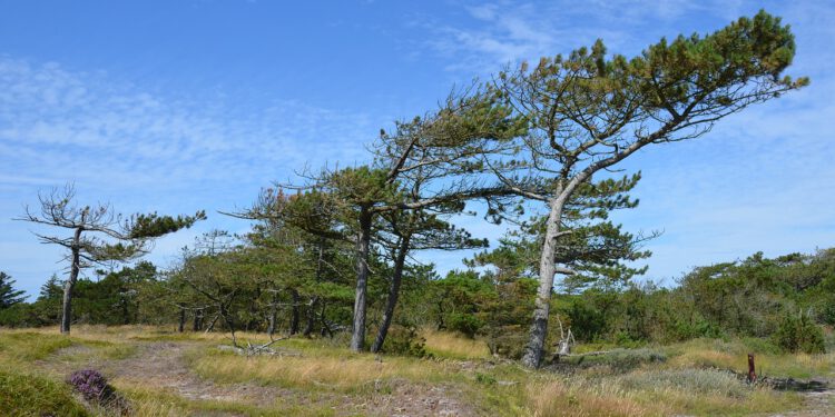 Genießen Sie die Idylle Dänemarks