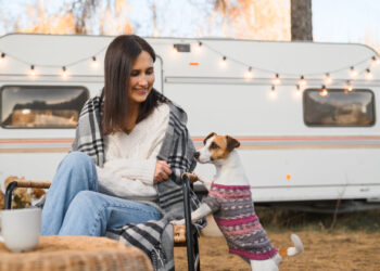 Tipps für die sichere Mitnahme von Haustieren im Caravan-Urlaub